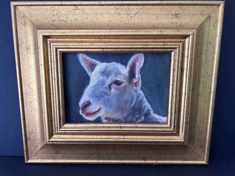 Sheep Painting on board by Nancy Norman - Van Schaik. 5X7 Image, 12X10 Frame